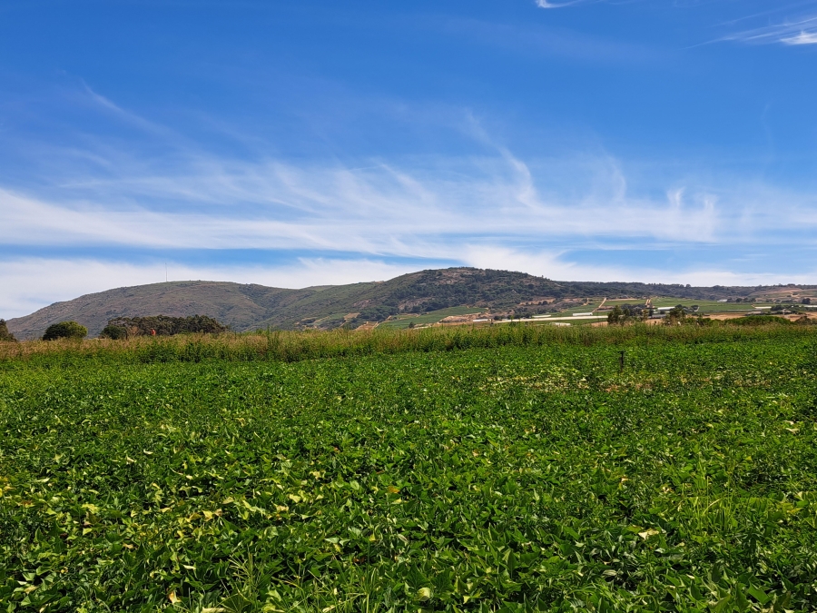 4 Bedroom Property for Sale in Paarl Rural Western Cape